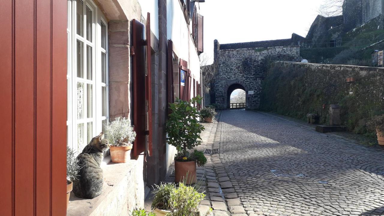 Maison Florenchaenia Sur Le Chemin De Compostelle Apartment Saint-Jean-Pied-de-Port Bagian luar foto