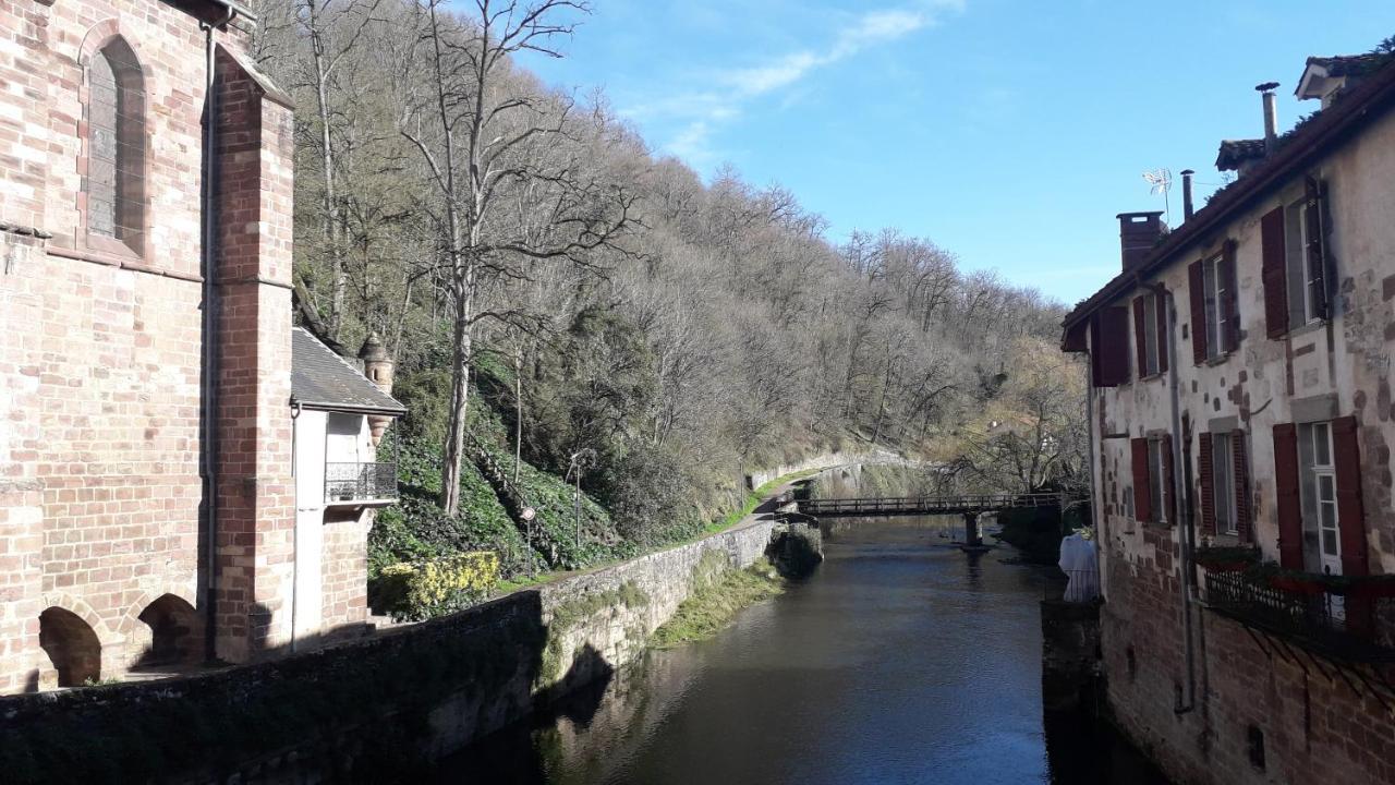 Maison Florenchaenia Sur Le Chemin De Compostelle Apartment Saint-Jean-Pied-de-Port Bagian luar foto